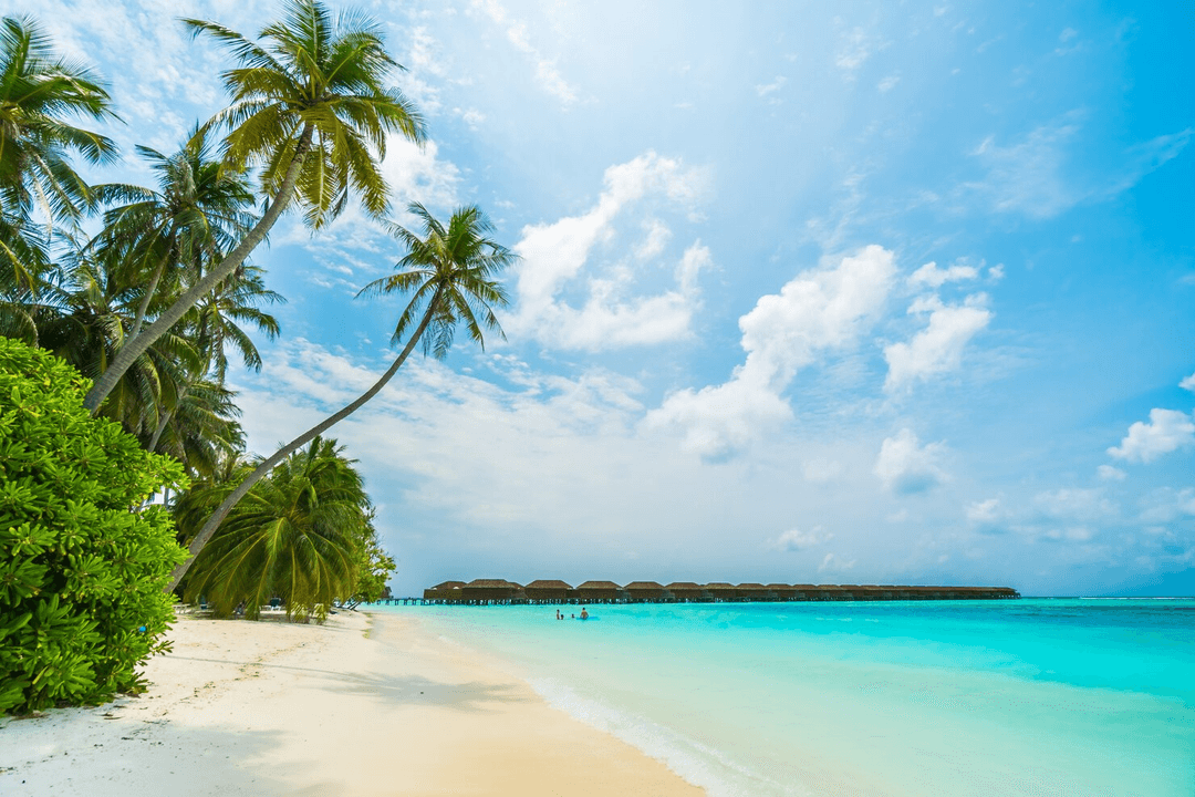 Next Stop… Paradise